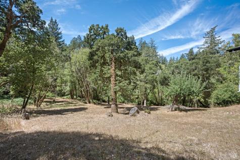 12956 Bones Lane Sebastopol CA 95472