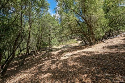 12956 Bones Lane Sebastopol CA 95472