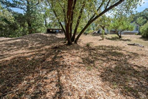 12956 Bones Lane Sebastopol CA 95472