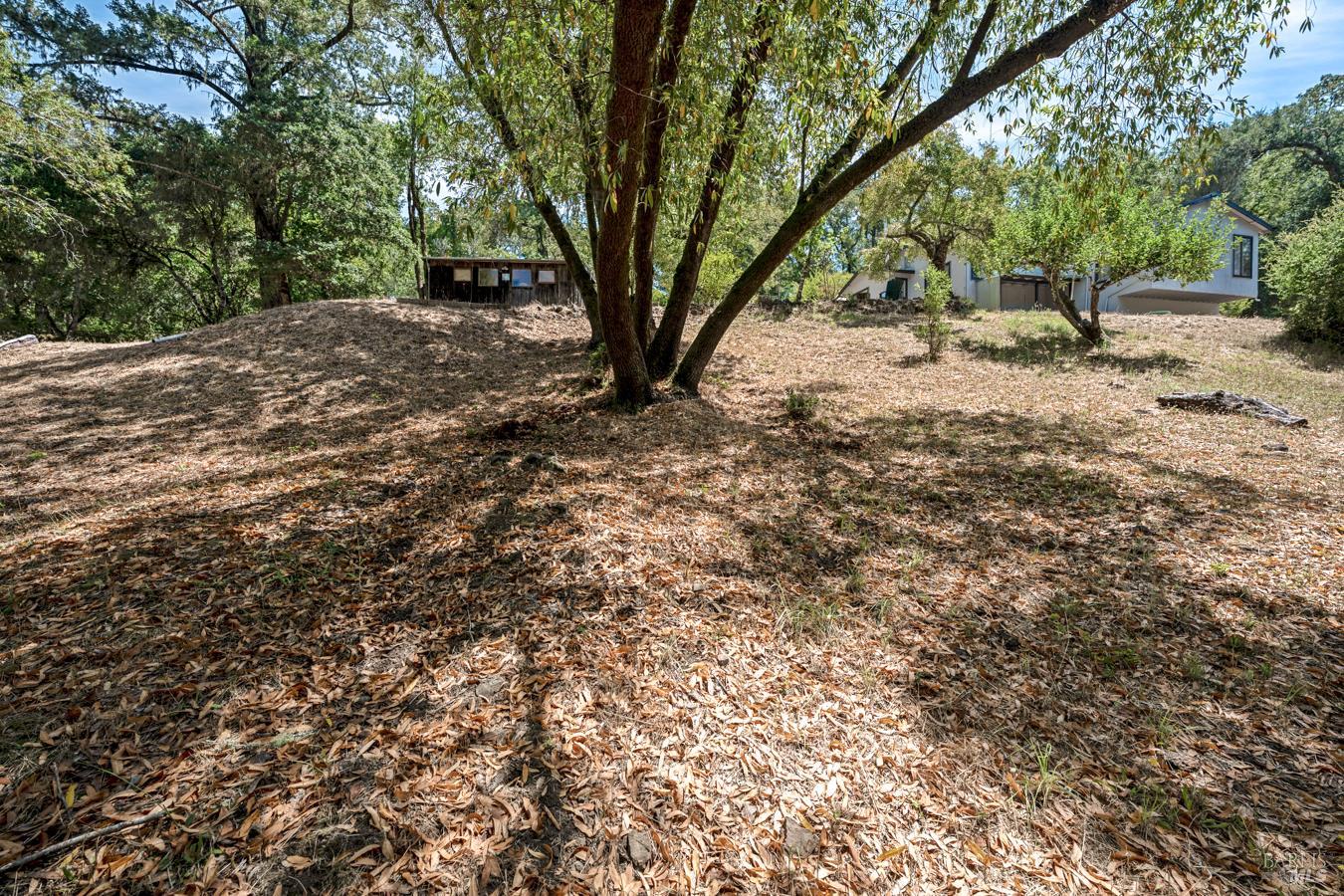 12956 Bones Lane Sebastopol CA 95472