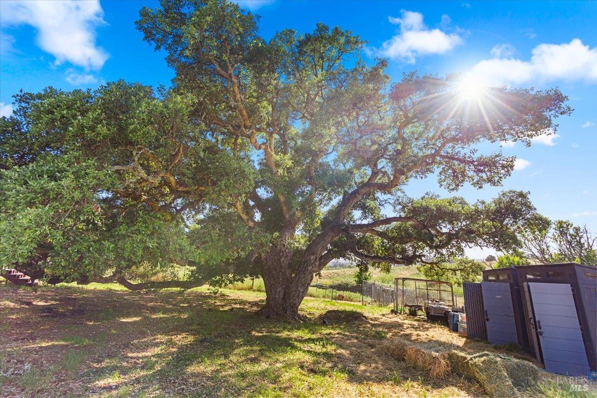 2315 Mountain Ranch Road Petaluma CA 94954