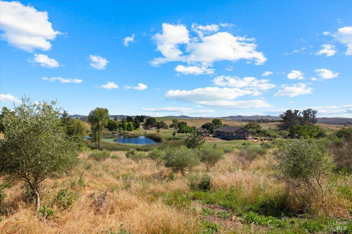 2315 Mountain Ranch Road Petaluma CA 94954