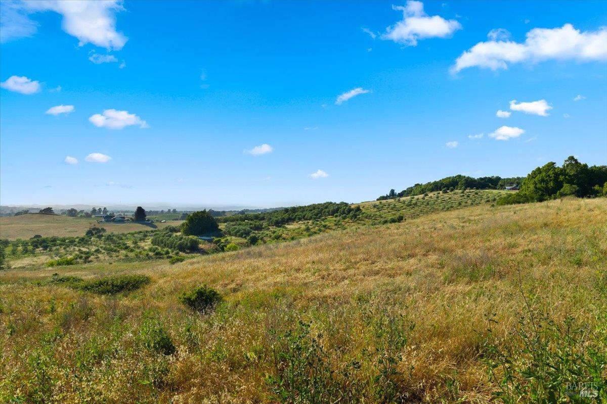 2315 Mountain Ranch Road Petaluma CA 94954