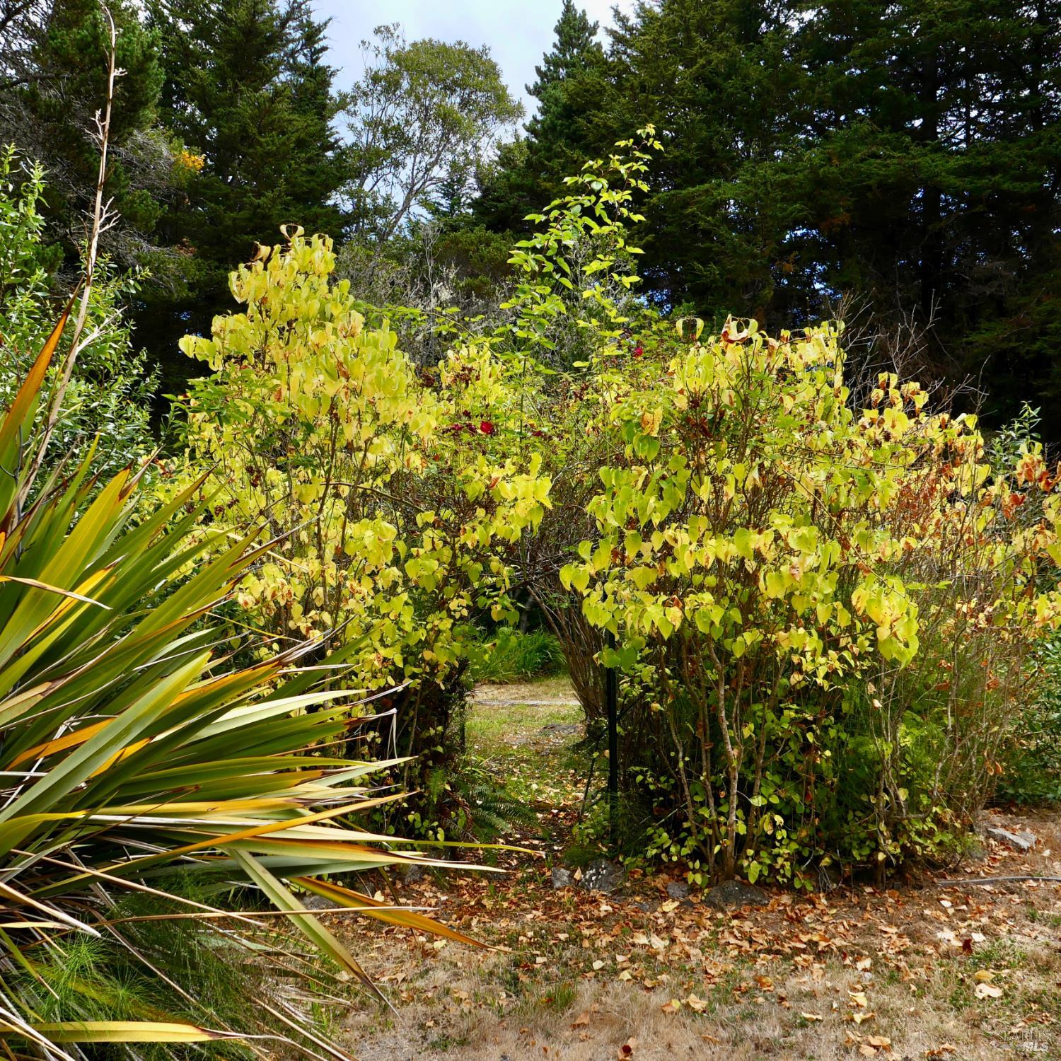 14340 Prairie Way Mendocino CA 95460