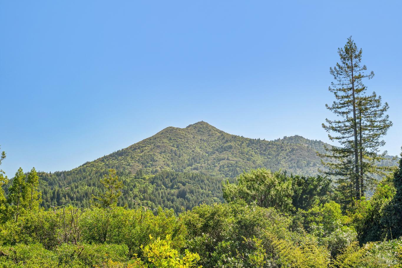 65 Rock Road Kentfield CA 94904