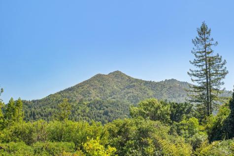 65 Rock Road Kentfield CA 94904