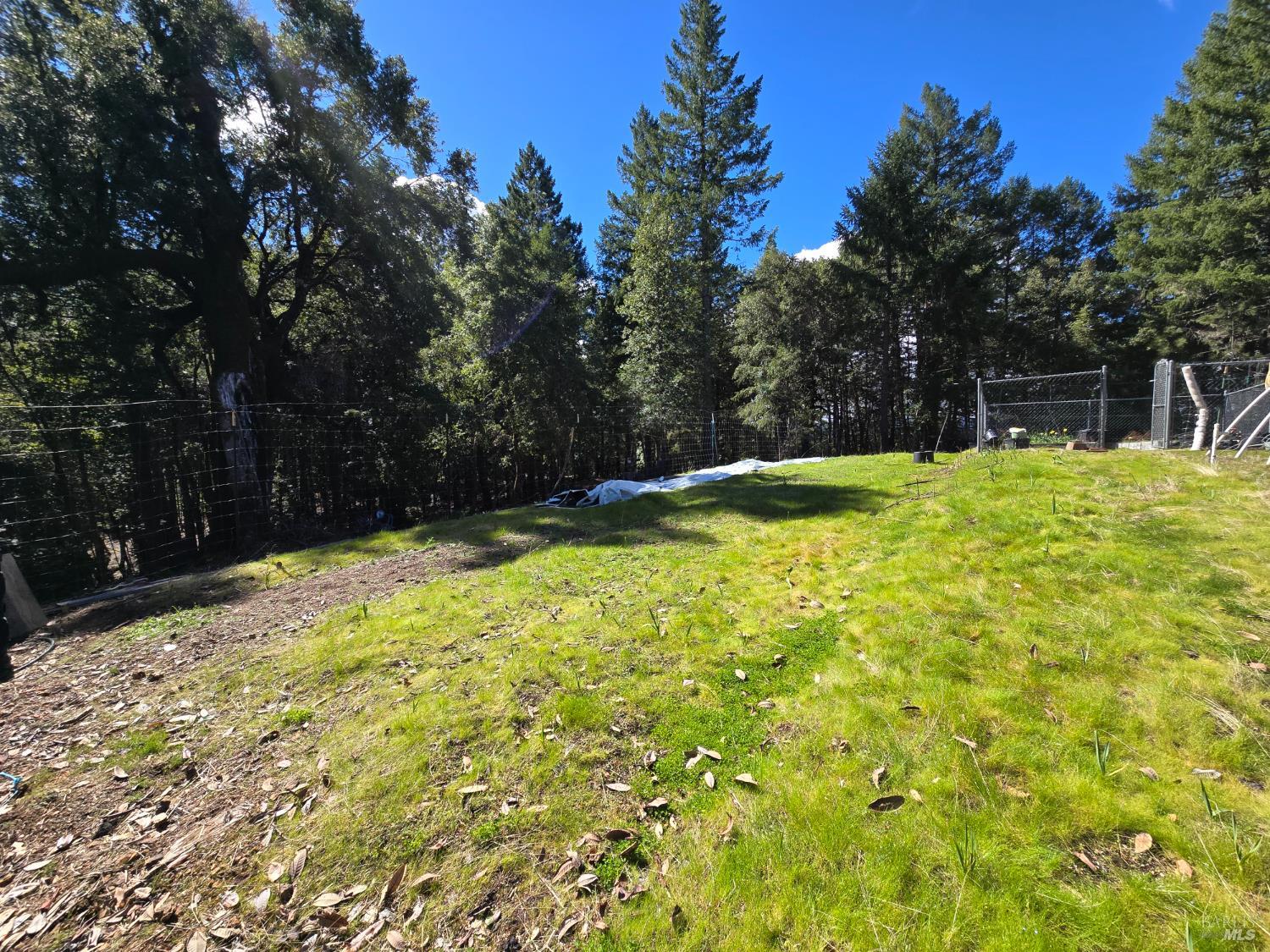 36193 Covelo Road Willits CA 95490
