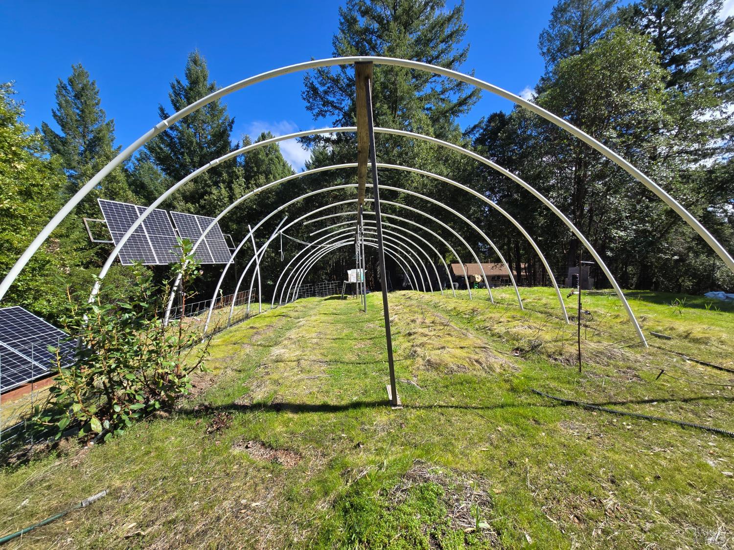 36193 Covelo Road Willits CA 95490