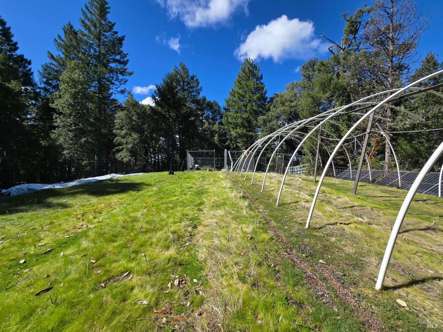 36193 Covelo Road Willits CA 95490