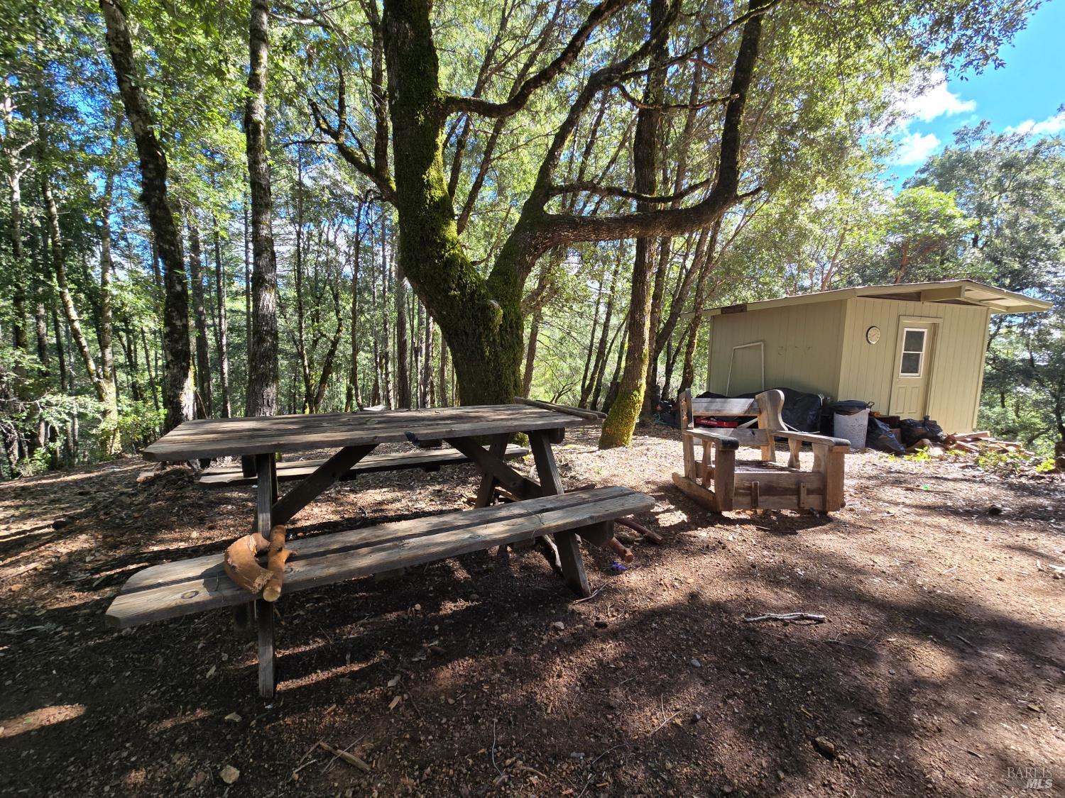 36193 Covelo Road Willits CA 95490