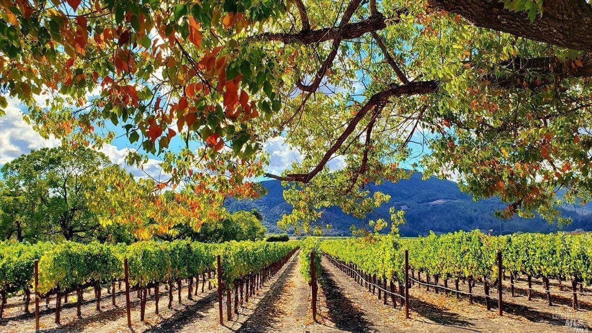 1876 Heritage Way Yountville CA 94599