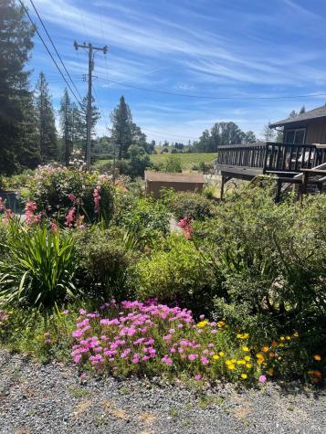 1982 Coffee Lane Sebastopol CA 95472