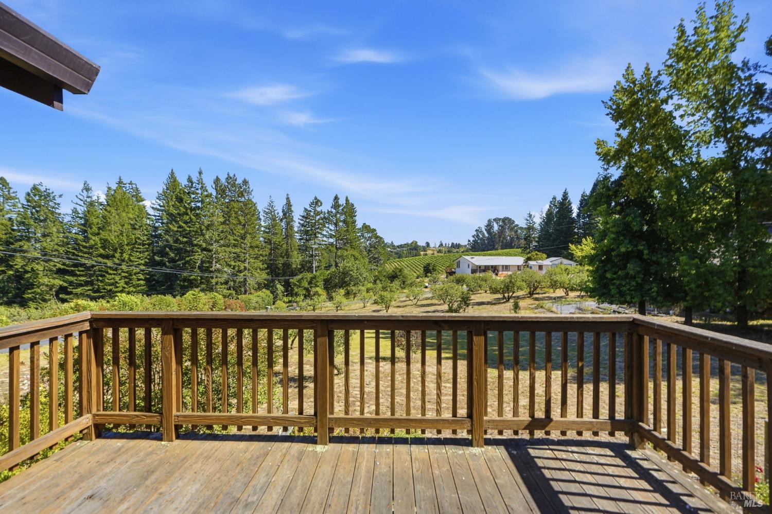 1982 Coffee Lane Sebastopol CA 95472