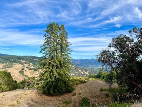 34201 Highway 128 Highway Cloverdale CA 95425