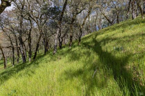9206 Chalk Hill Road Healdsburg CA 95448