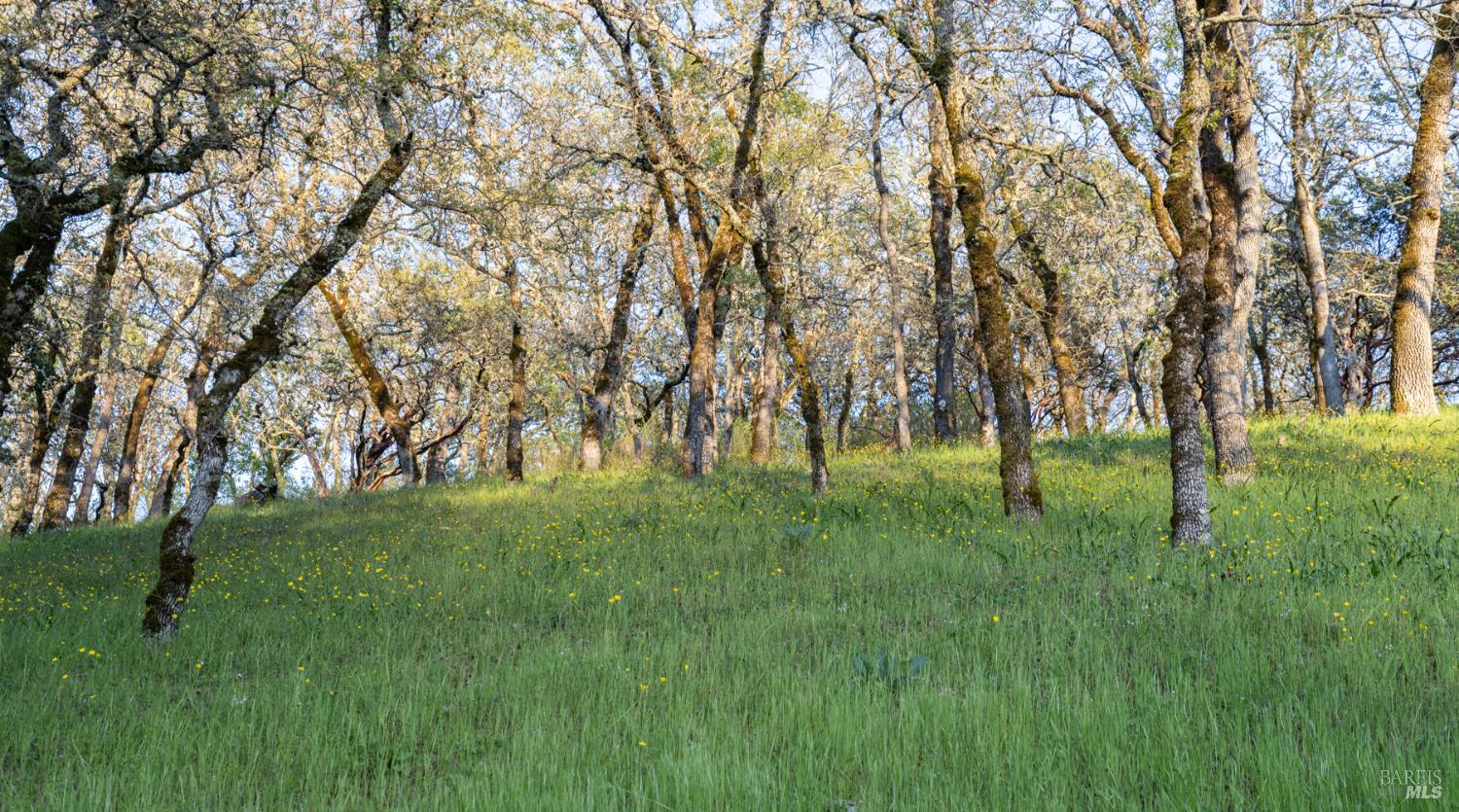 9206 Chalk Hill Road Healdsburg CA 95448