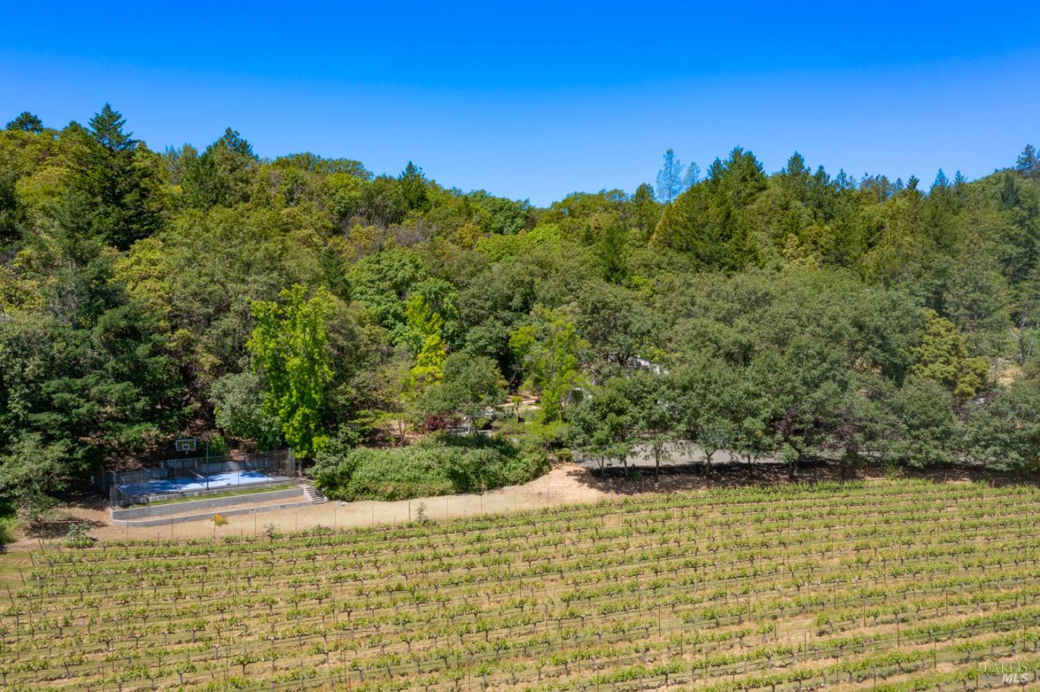 1275 Summit Lake Drive Angwin CA 94508