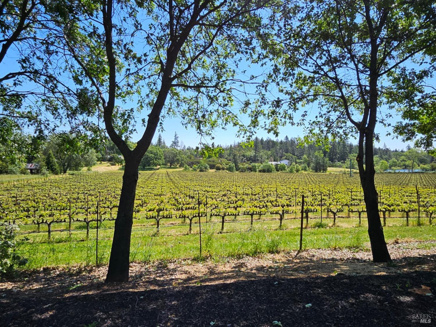 1275 Summit Lake Drive Angwin CA 94508