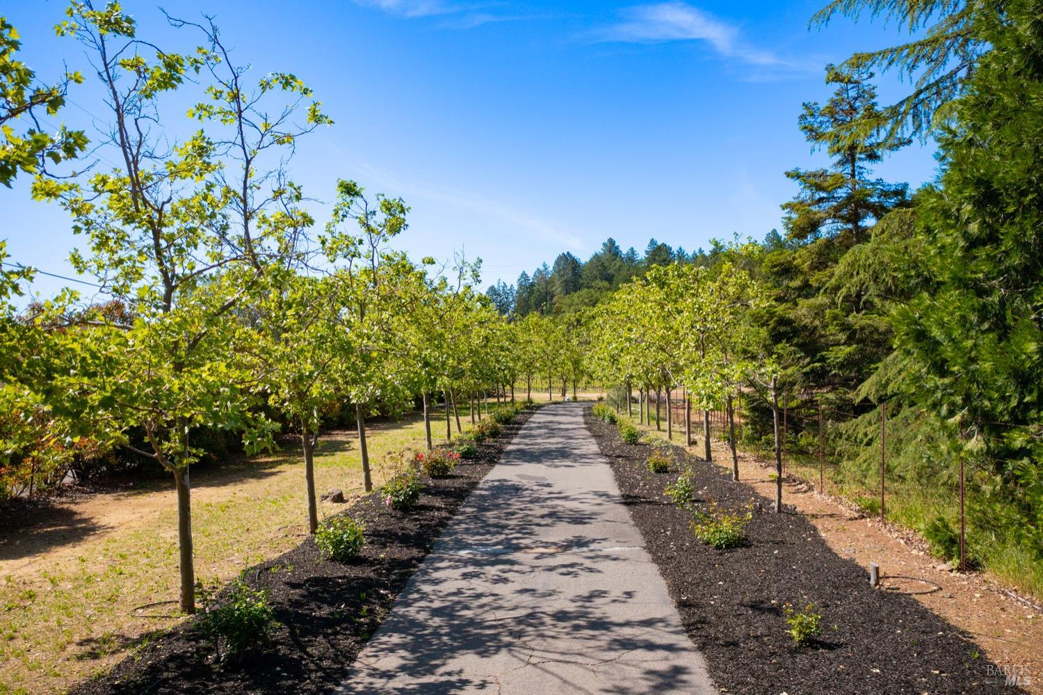 1275 Summit Lake Drive Angwin CA 94508