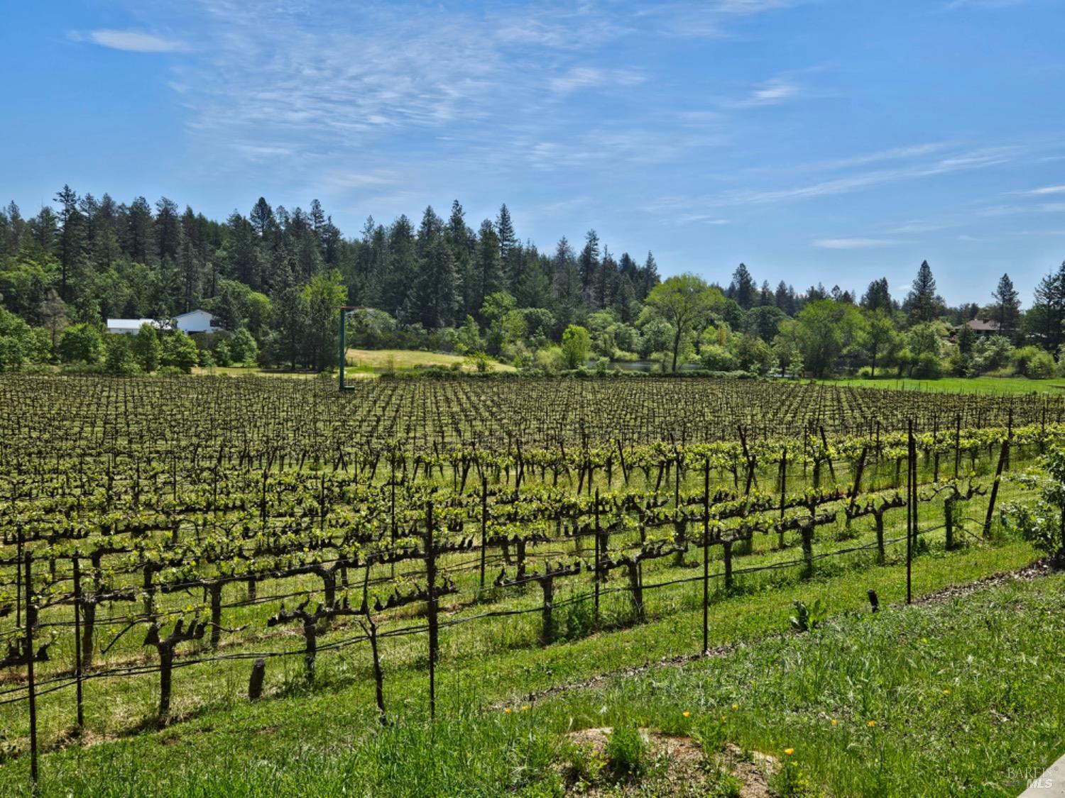1275 Summit Lake Drive Angwin CA 94508