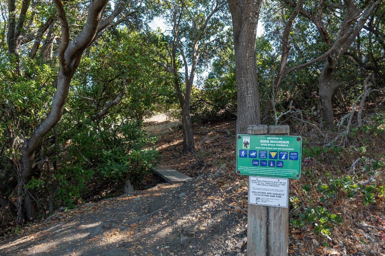 5 Edgemar Way Corte Madera CA 94925
