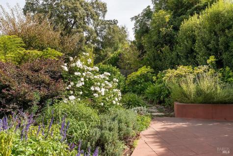 53 Florence Avenue San Anselmo CA 94960