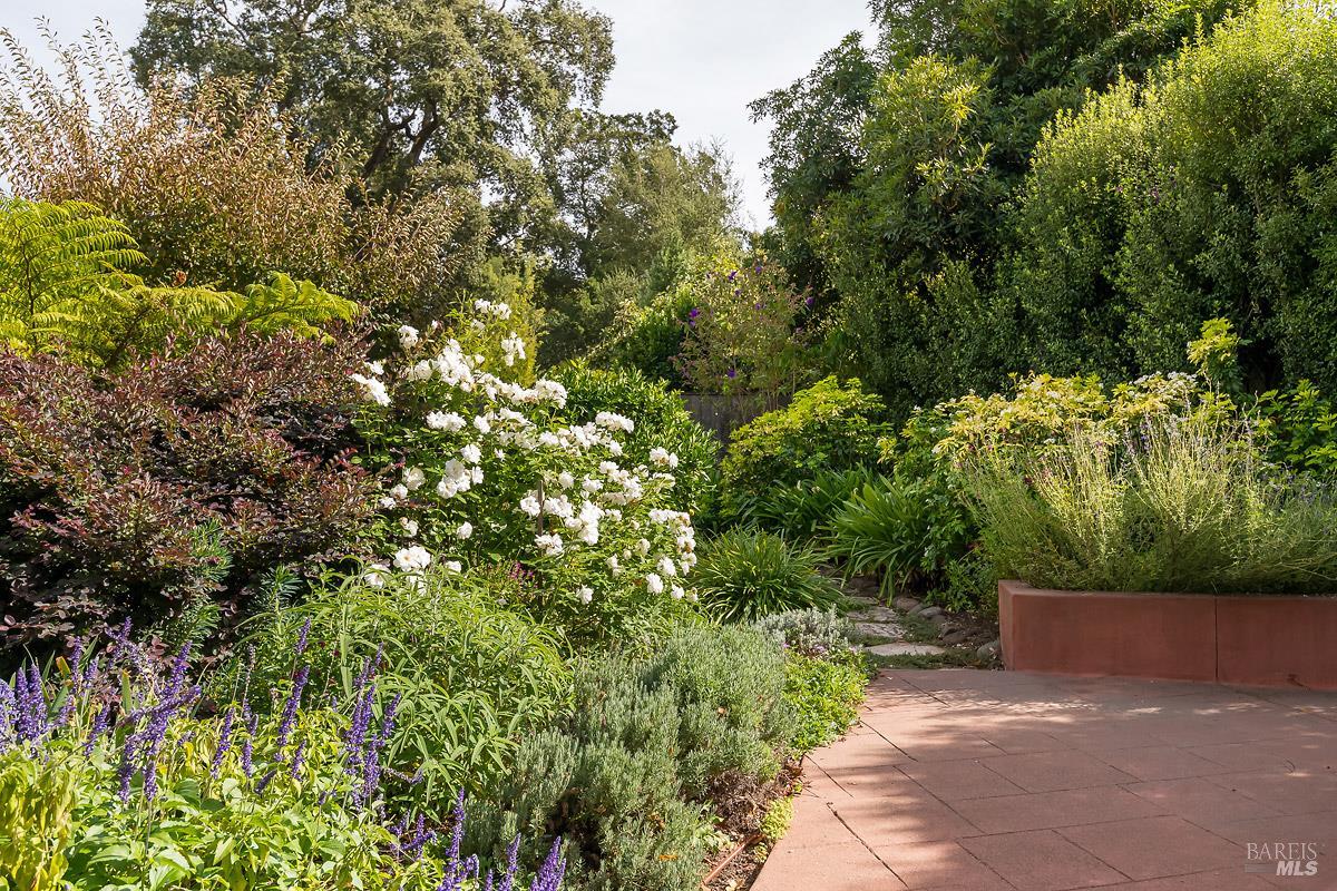 53 Florence Avenue San Anselmo CA 94960