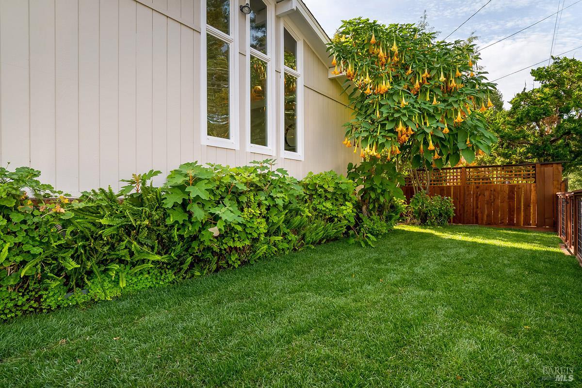 53 Florence Avenue San Anselmo CA 94960