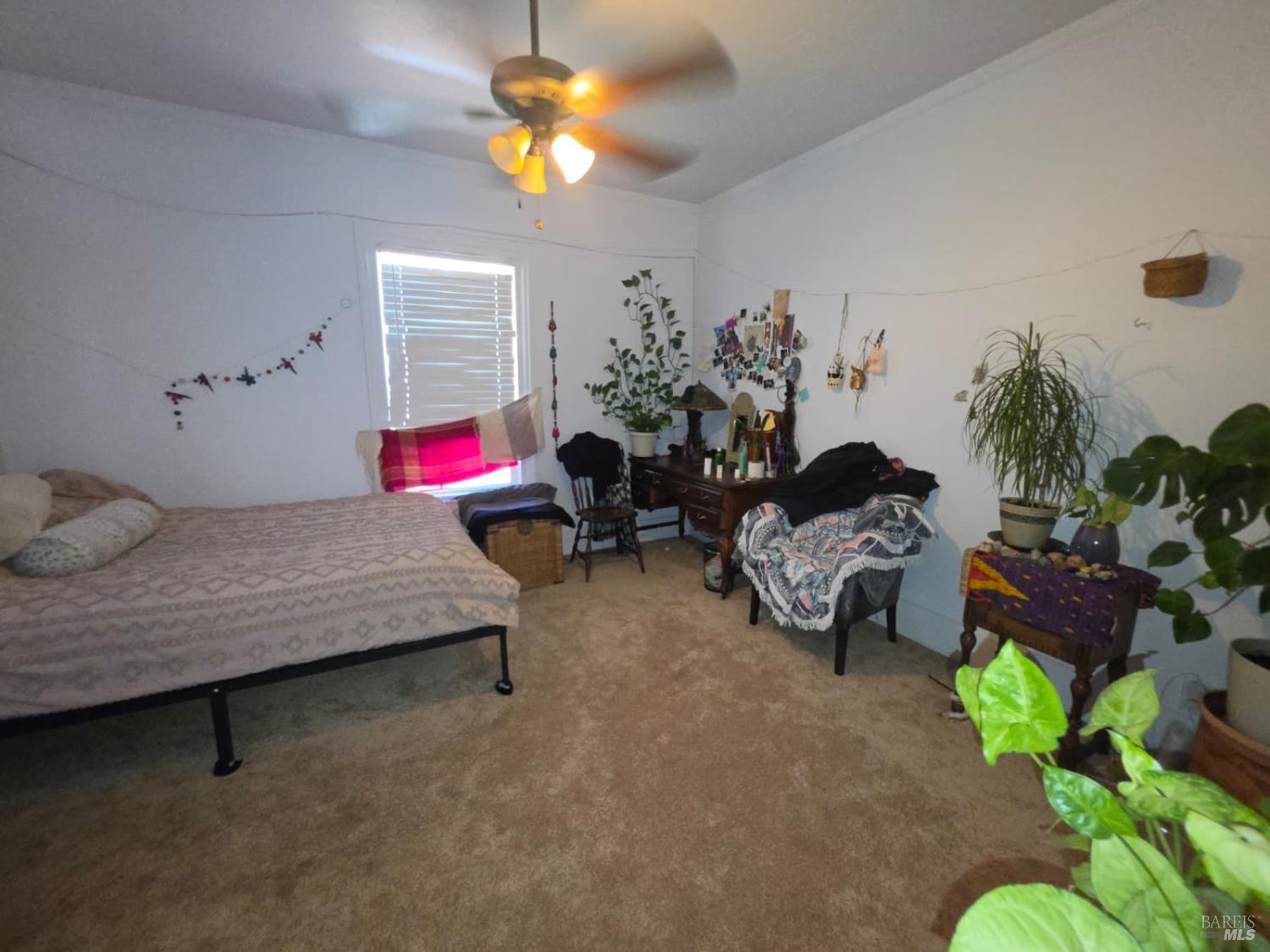 76150 Main Street Covelo CA 95428
