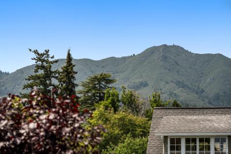 90 Walnut Avenue Mill Valley CA 94941