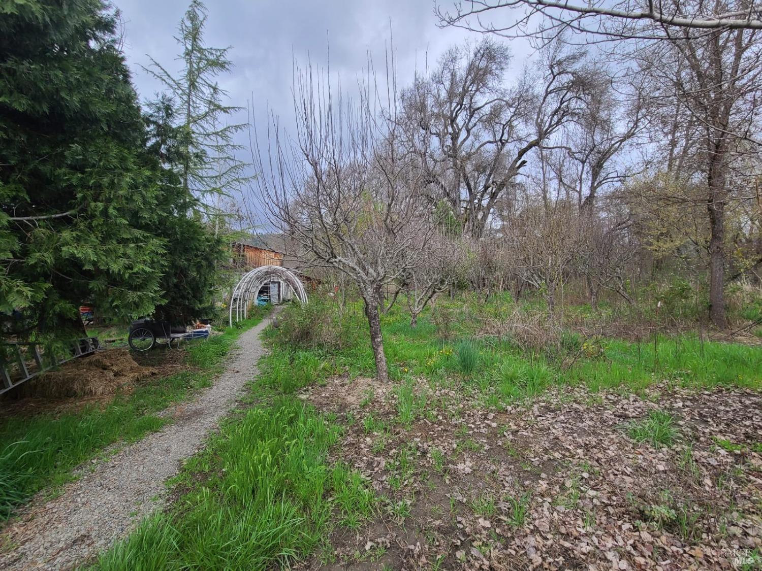 25428 Mendocino Pass Road Covelo CA 95428