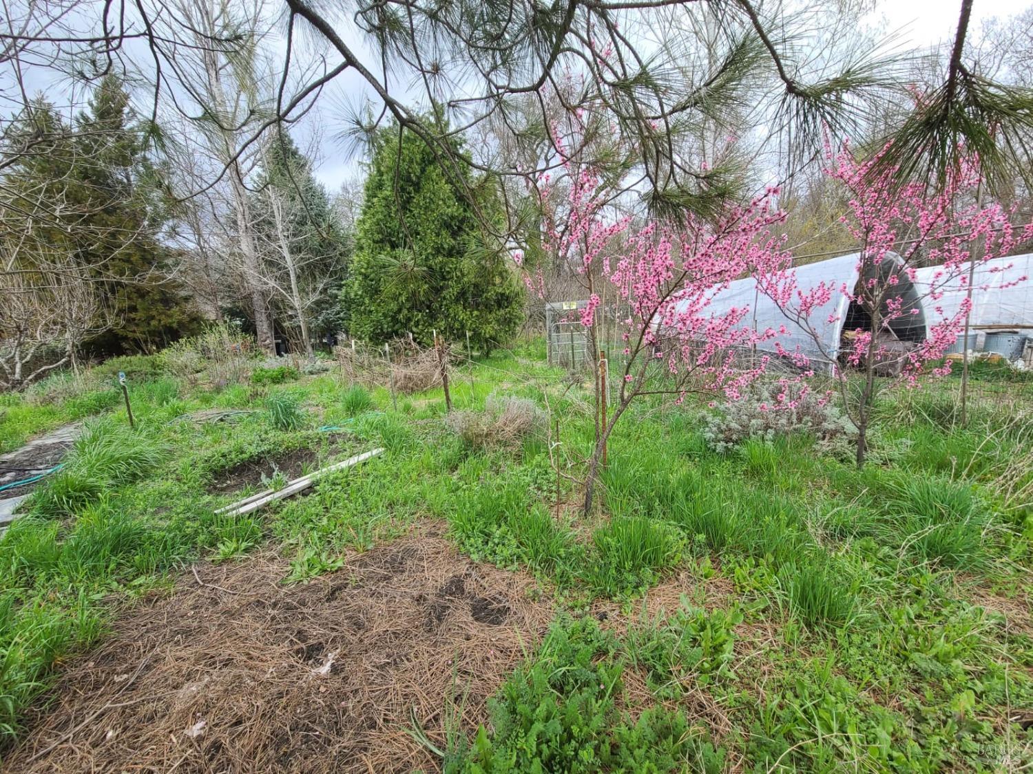 25428 Mendocino Pass Road Covelo CA 95428