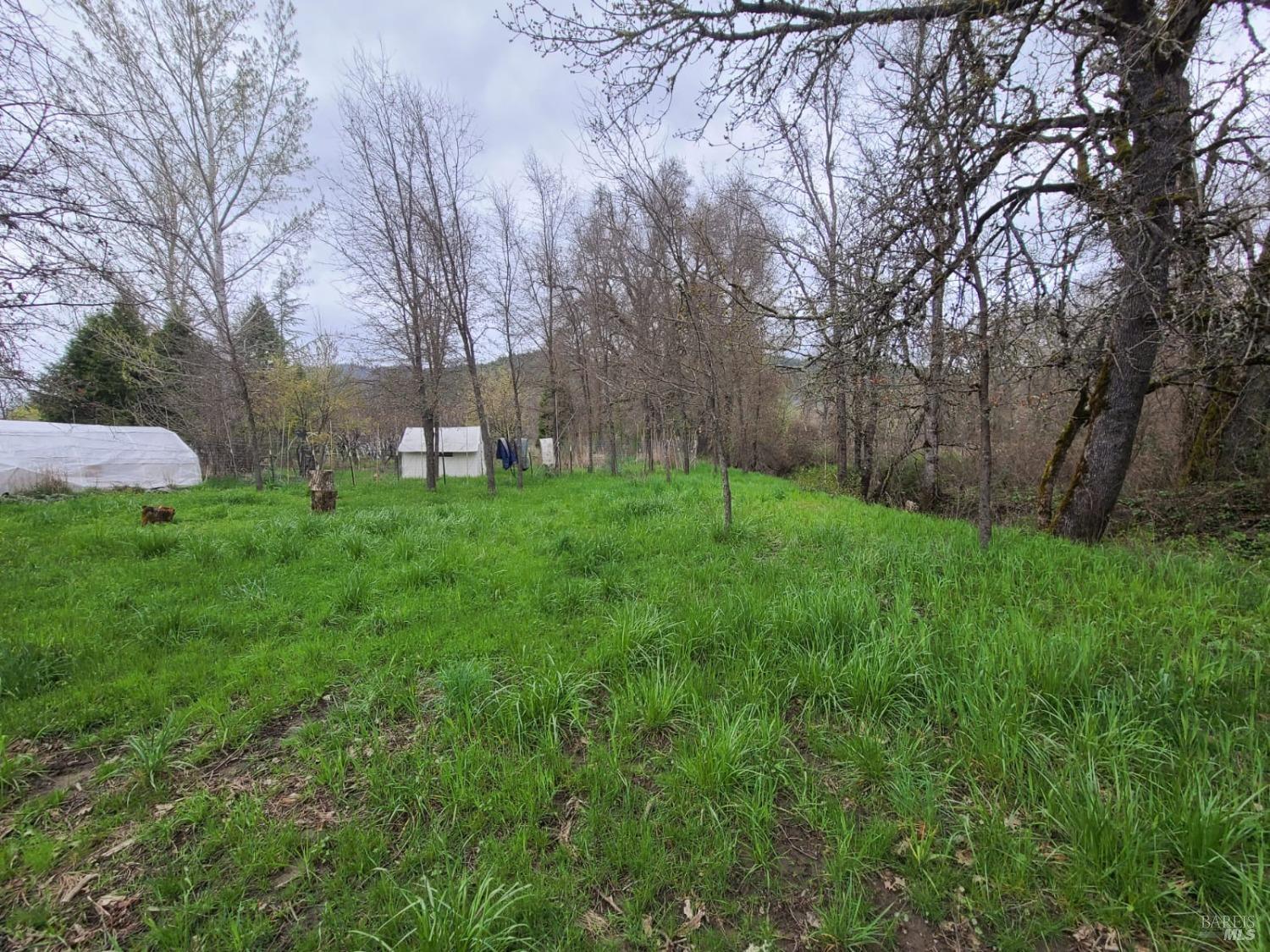 25428 Mendocino Pass Road Covelo CA 95428