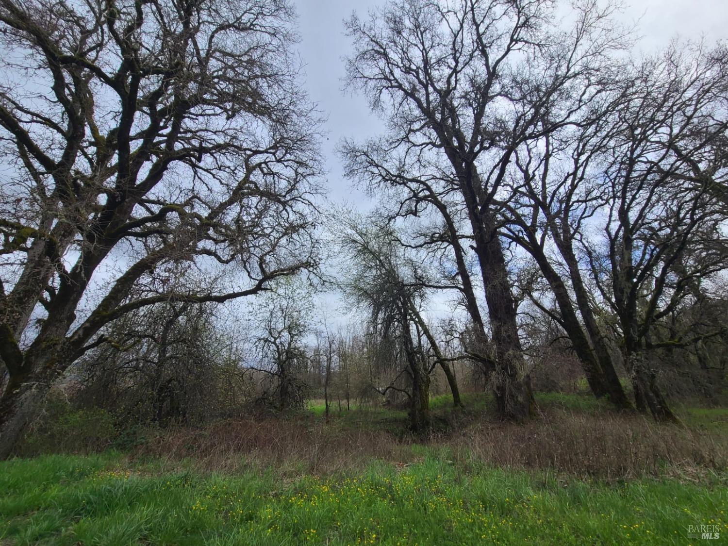 25428 Mendocino Pass Road Covelo CA 95428