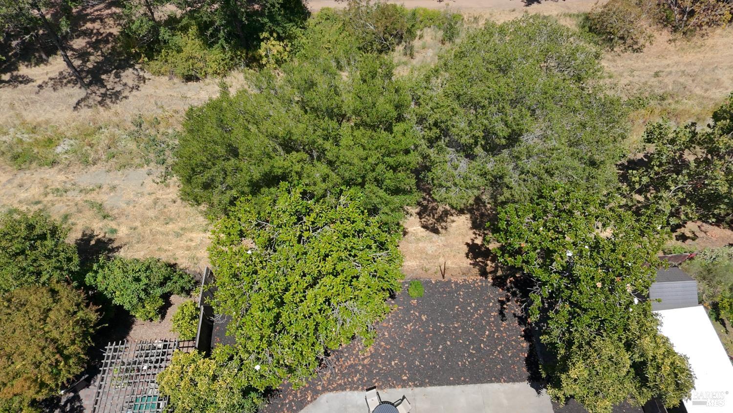 261 Redwood Circle Petaluma CA 94954