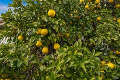 910-920 Lytton Springs Road Healdsburg CA 95448