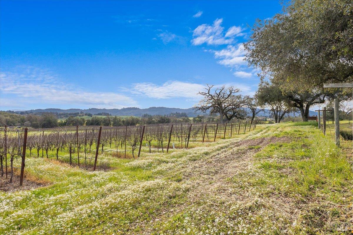 910-920 Lytton Springs Road Healdsburg CA 95448