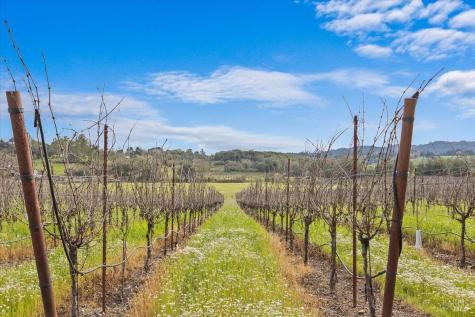 910-920 Lytton Springs Road Healdsburg CA 95448