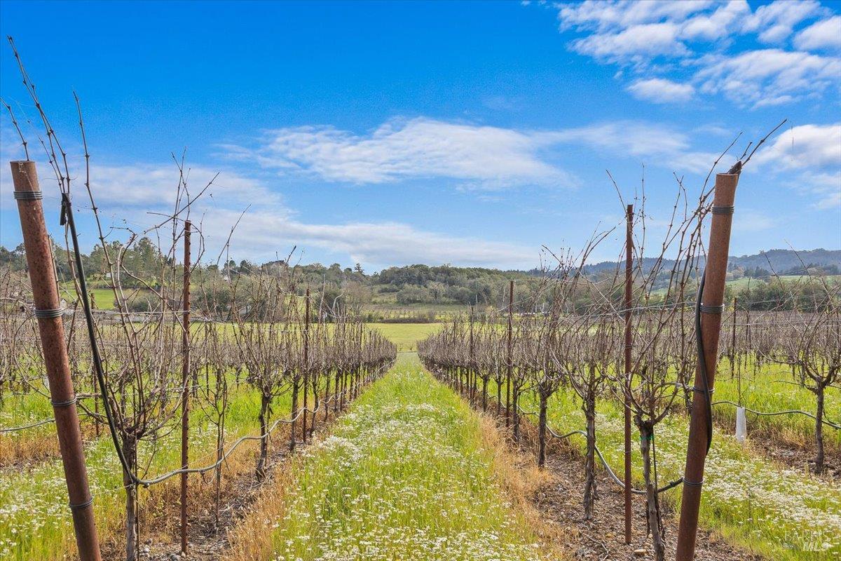 910-920 Lytton Springs Road Healdsburg CA 95448
