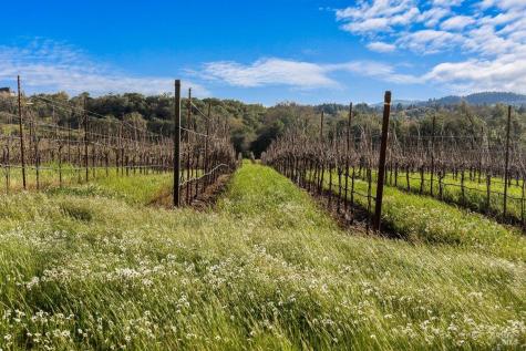 910-920 Lytton Springs Road Healdsburg CA 95448