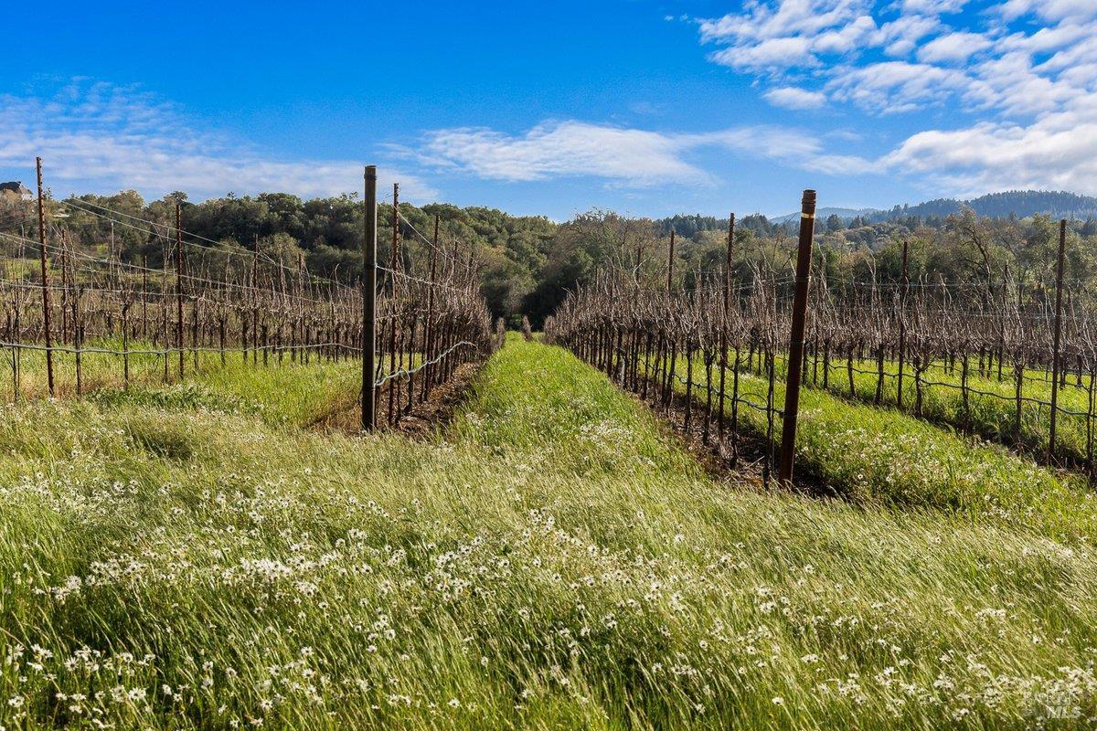 910-920 Lytton Springs Road Healdsburg CA 95448