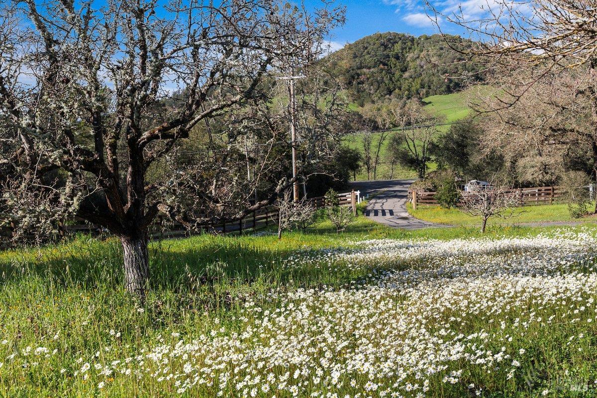 910-920 Lytton Springs Road Healdsburg CA 95448