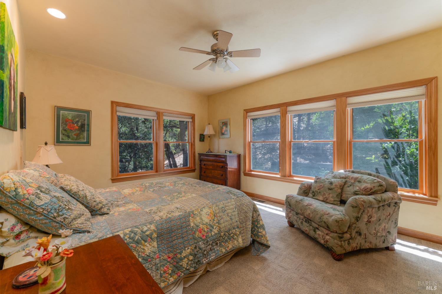 Ukiah CA 95482
