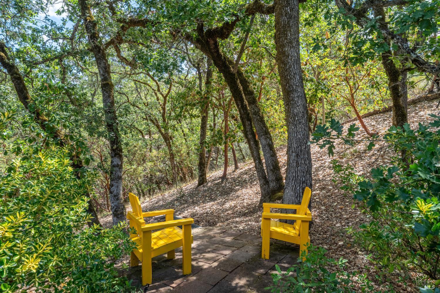 Ukiah CA 95482