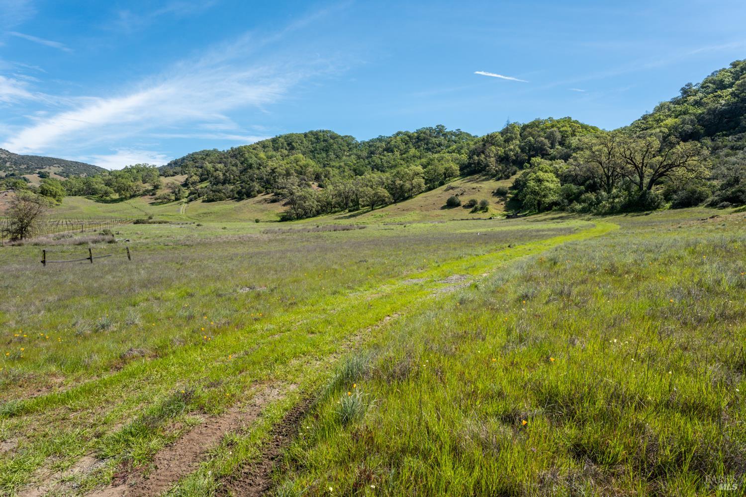 2800 Feliz Creek Road Hopland CA 95449