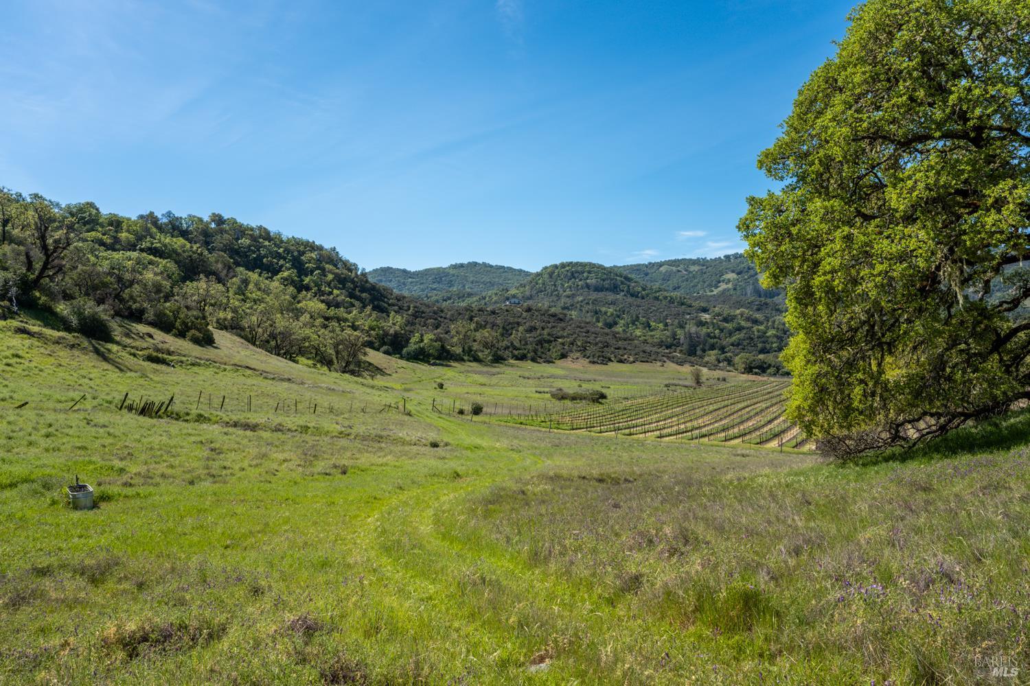 2800 Feliz Creek Road Hopland CA 95449