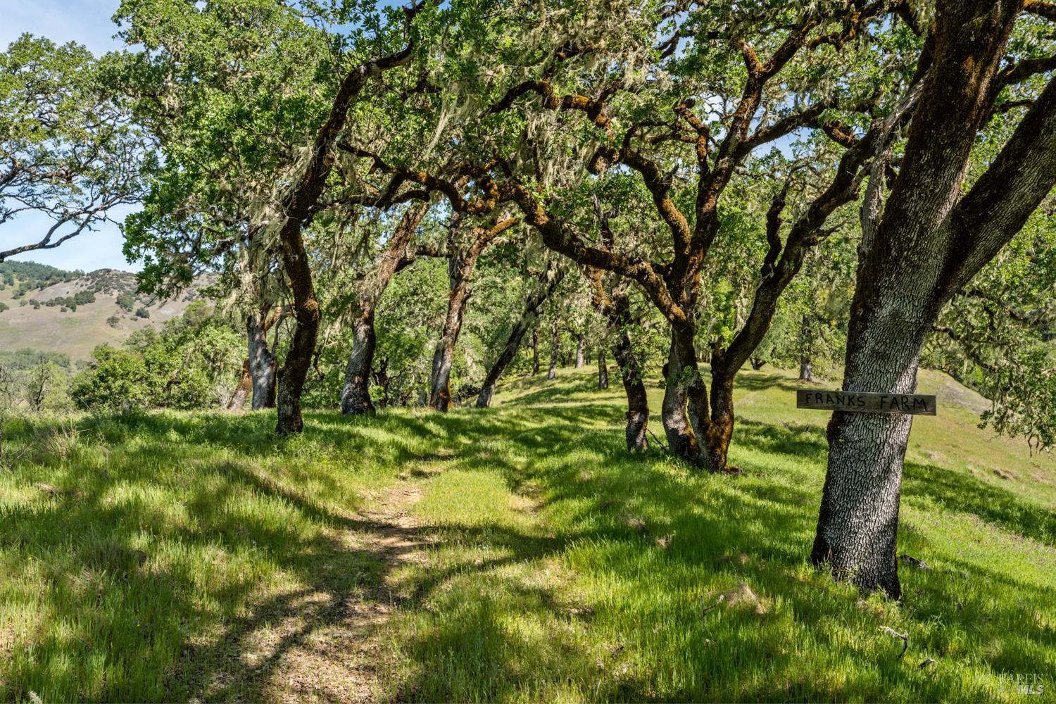 2800 Feliz Creek Road Hopland CA 95449