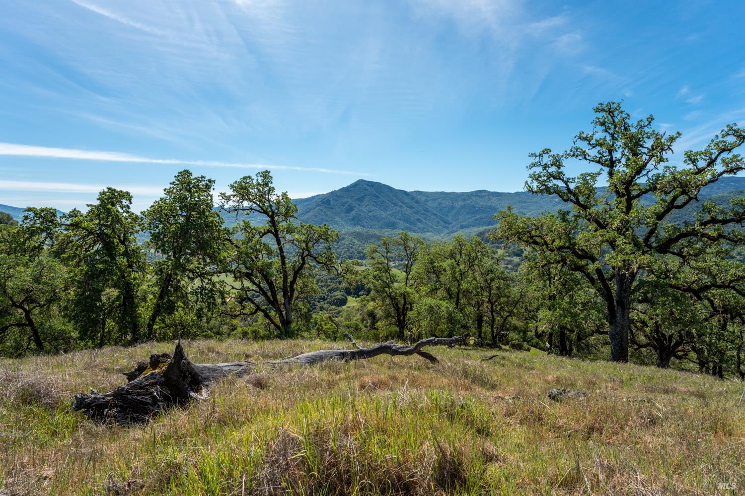 2800 Feliz Creek Road Hopland CA 95449