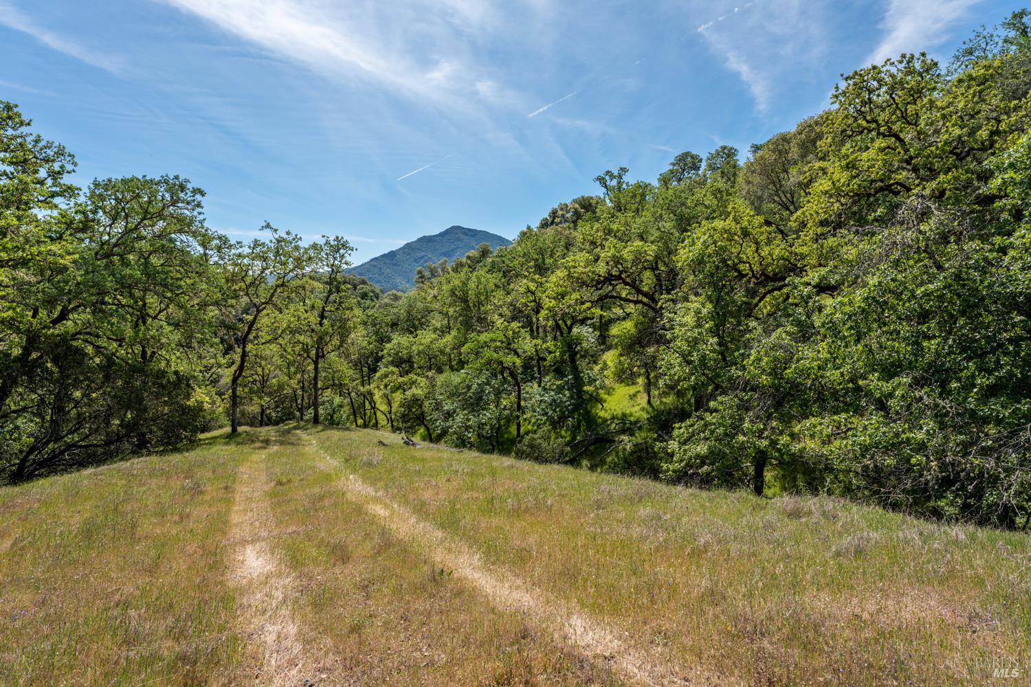 2800 Feliz Creek Road Hopland CA 95449