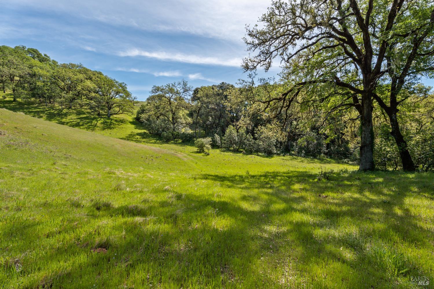 2800 Feliz Creek Road Hopland CA 95449